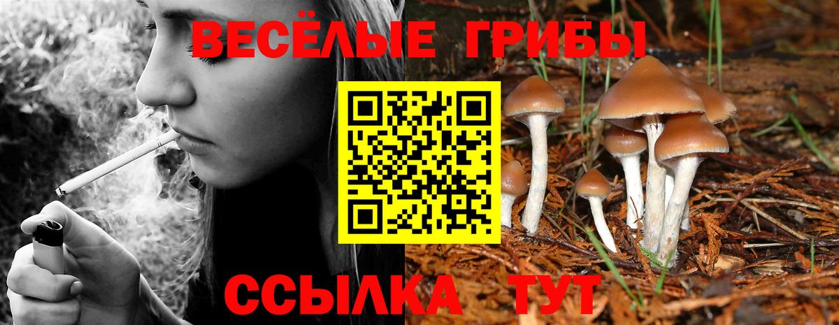 Сертолово  где найти   Вход с VPN  Галлюциногенные грибы Magic Shrooms  Галлюциногенные грибы мухоморы 
